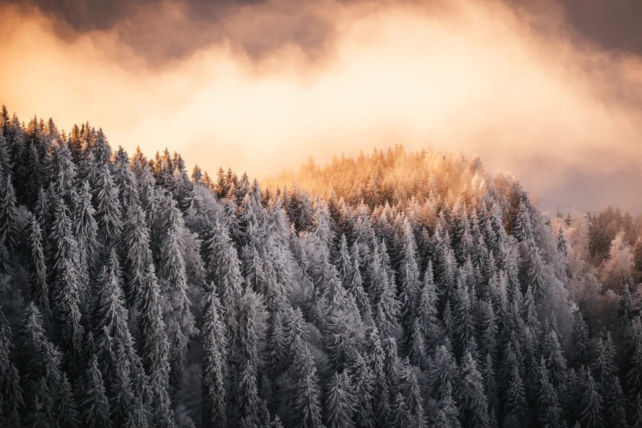 Landschaft – Foto 5 von Thomas Leuthard