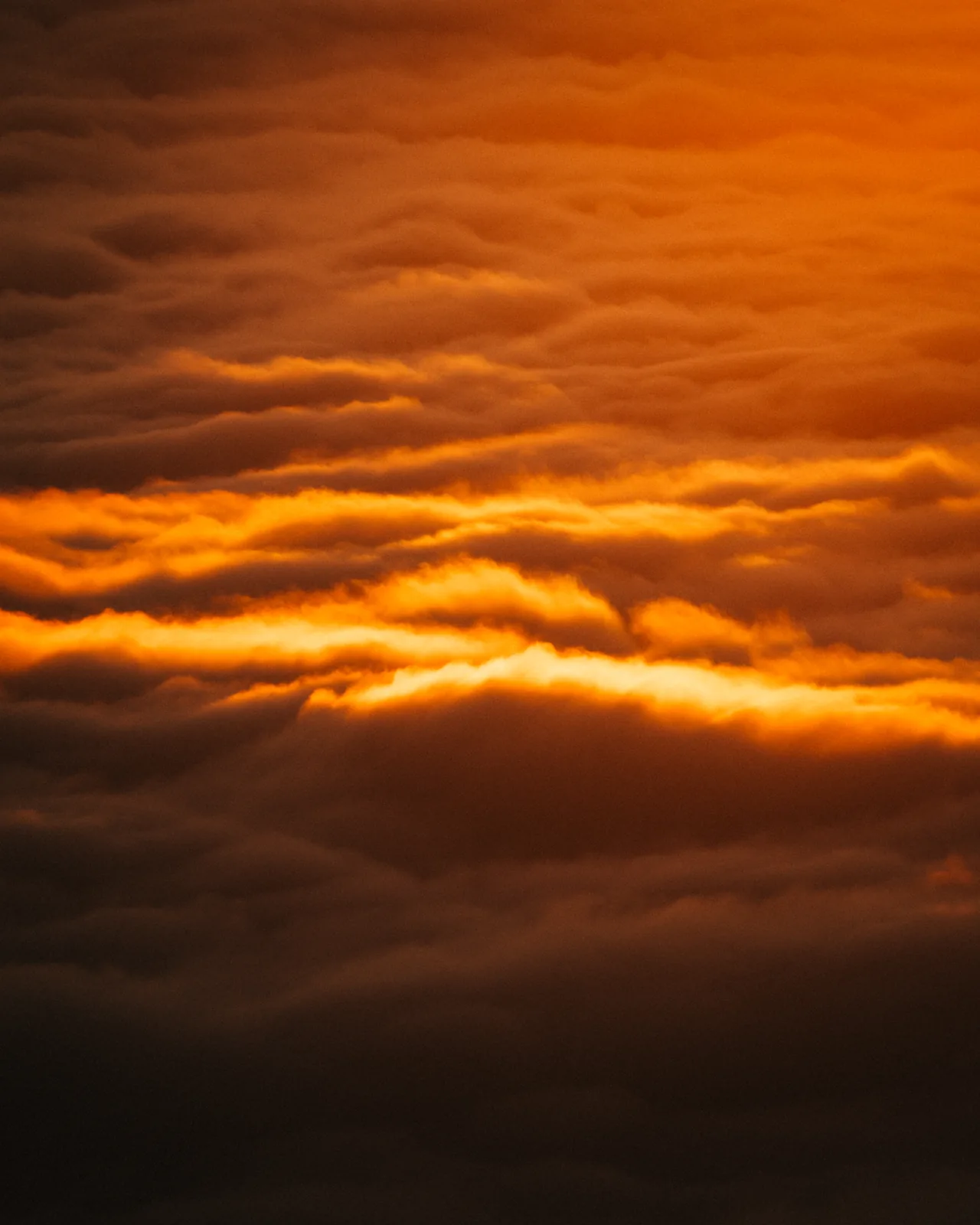 Landschaft – Foto 12 von Thomas Leuthard
